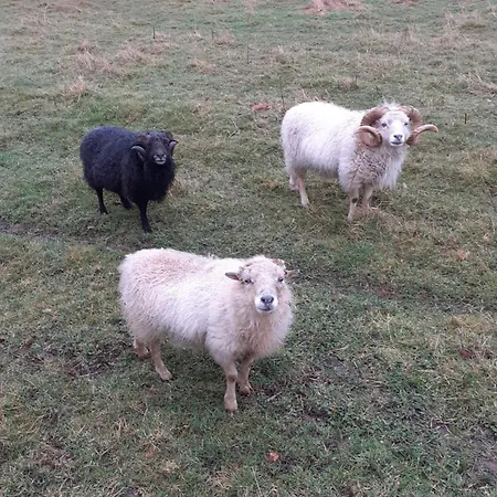 Casa de Férias Thimax